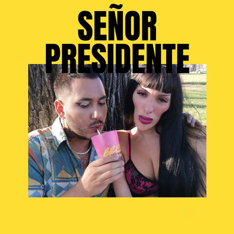 Señor Presidente
