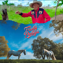 Mi Llano y el Arquitecto