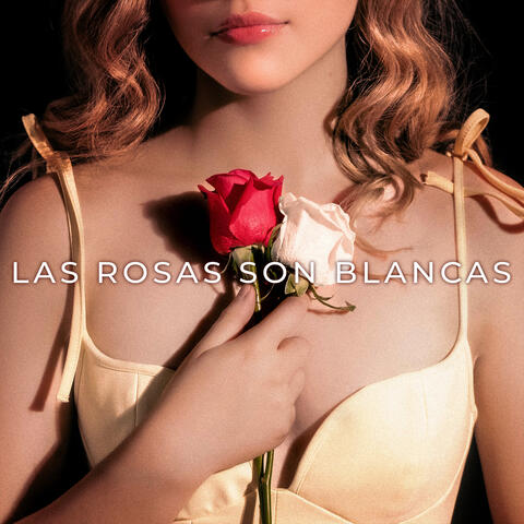 Las Rosas Son Blancas