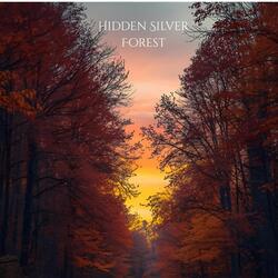 Hidden Silver Forest