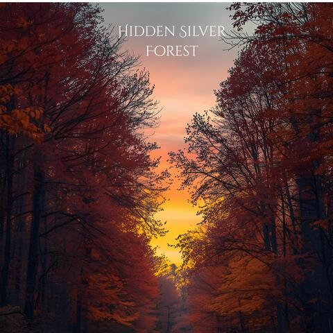 Hidden Silver Forest