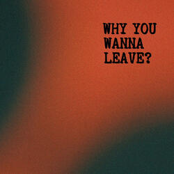 Why You Wanna Leave?