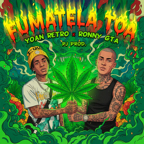 Fumatela Toa