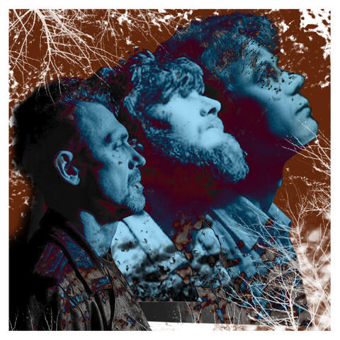 Исповедь хулигана