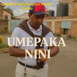 Umepaka Nini