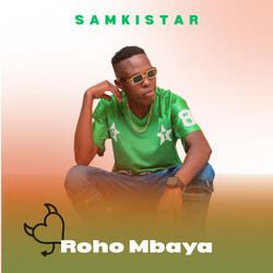 Roho Mbaya