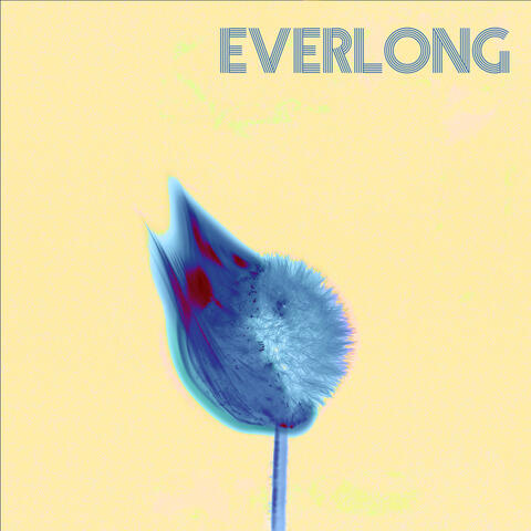 Everlong