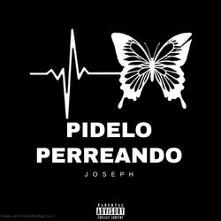 Pidelo Perreando