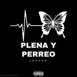 Plena y Perreo