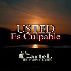 Usted Es Culpable