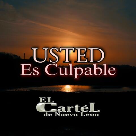 Usted Es Culpable