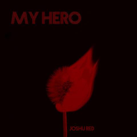 My Hero