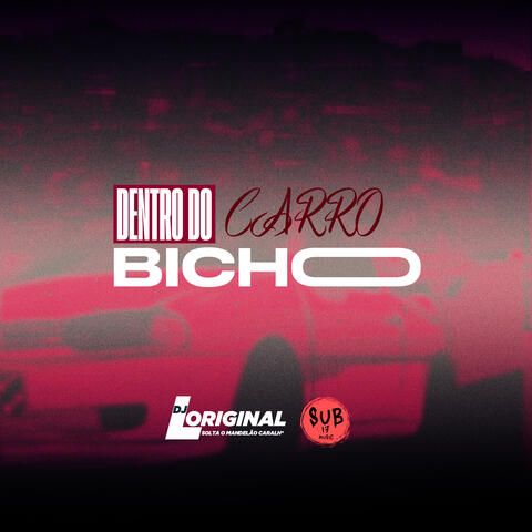 Dentro do Carro Bicho