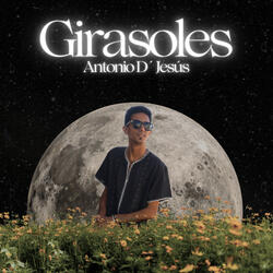 Girasoles