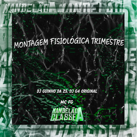 Montagem Fisiológica Trimestre