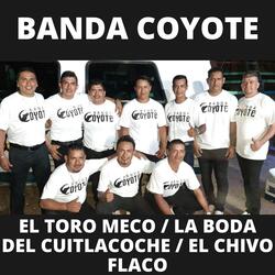El Toro Meco / La Boda del Cuitlacoche / El Chivo Flaco
