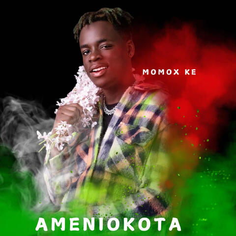 Ameniokota
