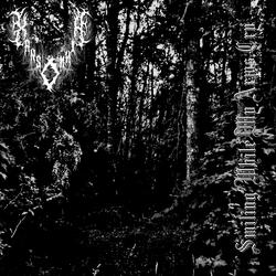 Personal Forest (Psychonaut 4)