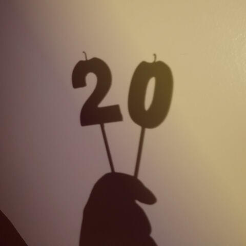 20