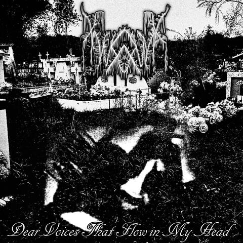 Dear Voices That Flow in My Head