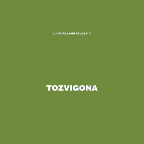 Tozvigona