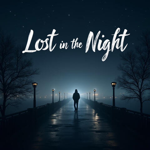 Lost in the Night
