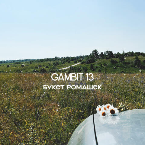 Букет ромашек