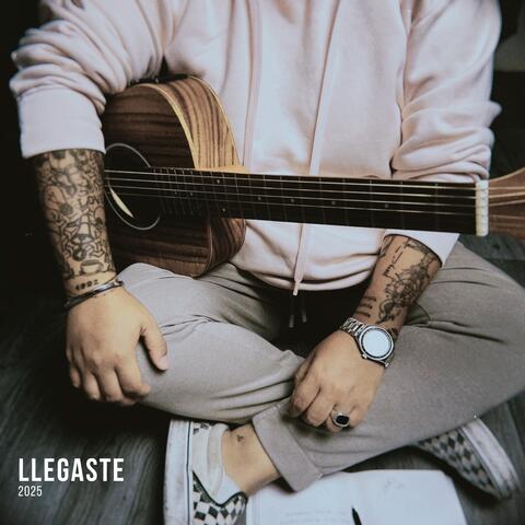 Llegaste 2025