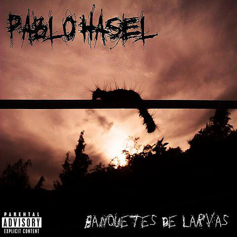 Banquete de Larvas