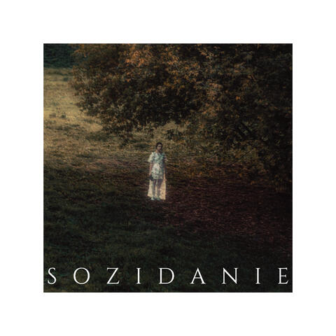 SOZIDANIE