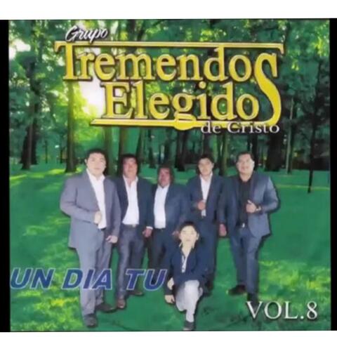 Un Día Tù, Vol. 8