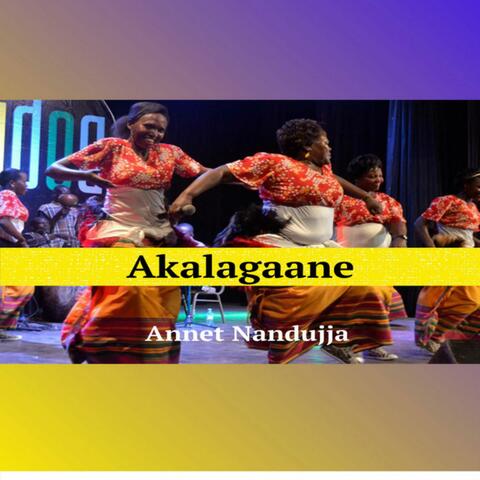 Akalagaane