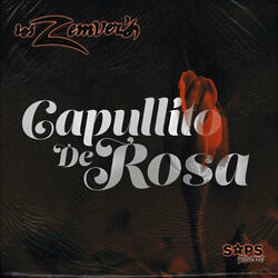 Capullito de Rosa