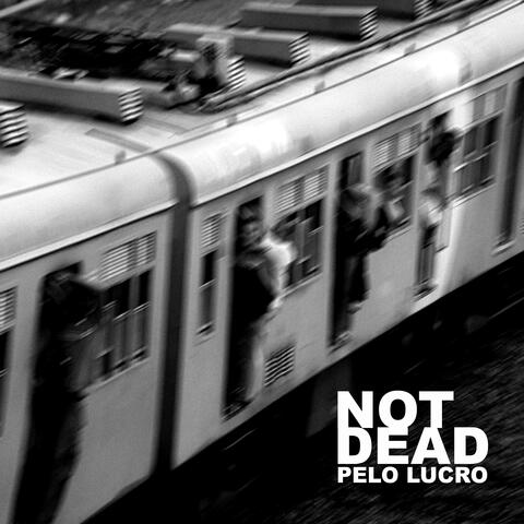 Pelo Lucro