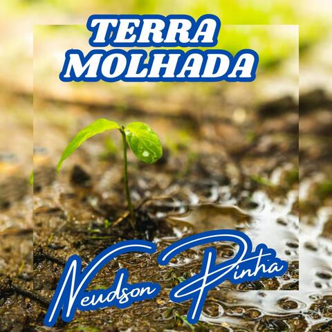 Terra Molhada