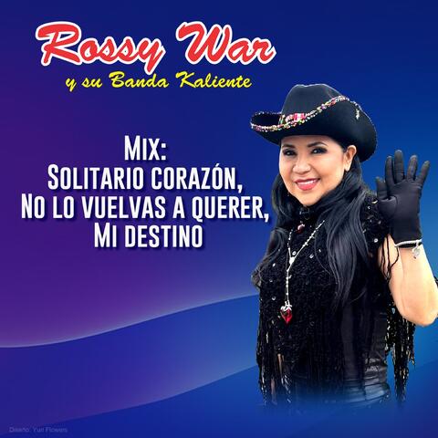 Mix Solitario Corazon, No Lo Vuelvas a Querer, Mi Destino