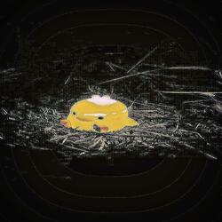 What’s the Problem