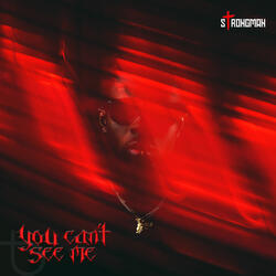 You Can’t See Me