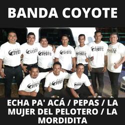 Echa Pa' Acá / Pepas / La Mujer del Pelotero / La Mordidita