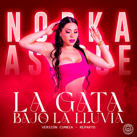 La Gata Bajo la Lluvia (Versión Cumbia - Reparta)