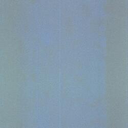 Увидимся через свет