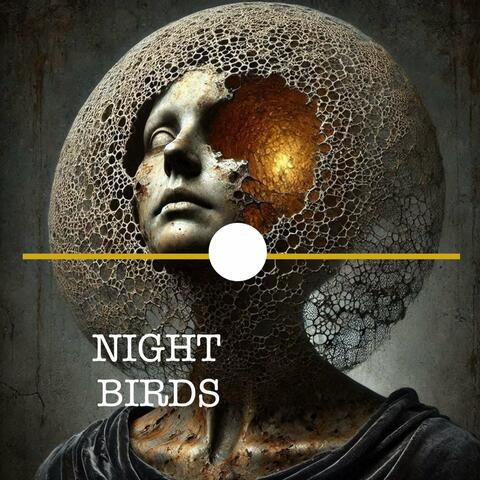 Night Birds