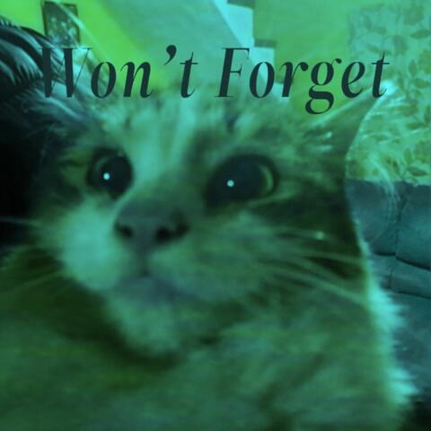 Won't Forget