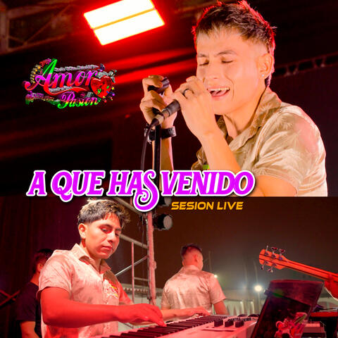 A Que Has Venido