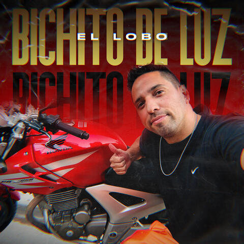 Bichito de Luz