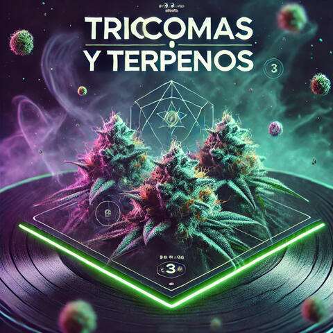 Tricomas & Terpenos