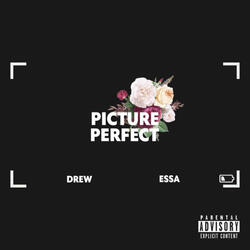 Picture Perfect