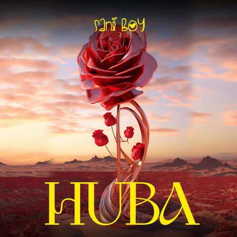 Huba