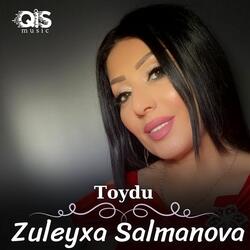 Toydu