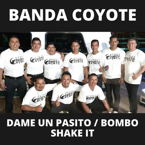Dame un Pasito / Bombo Shake It